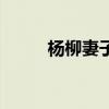 楊柳妻子（關于楊柳妻子的介紹）