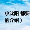 小沈陽 都要好好的（關于小沈陽 都要好好的的介紹）