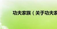 功夫家族(關于功夫家族的介紹)