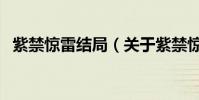 紫禁驚雷結局(關于紫禁驚雷結局的介紹)