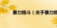 暴力格斗(關于暴力格斗的介紹)