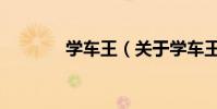 學車王(關于學車王的介紹)