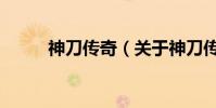 神刀傳奇(關于神刀傳奇的介紹)
