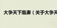 大爭天下凰妻(關于大爭天下凰妻的介紹)