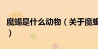 魔蝎是什么動物(關于魔蝎是什么動物的介紹)