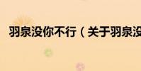 羽泉沒你不行(關于羽泉沒你不行的介紹)