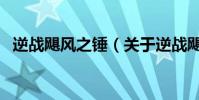 逆戰颶風之錘(關于逆戰颶風之錘的介紹)