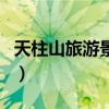 天柱山旅游景點（關于天柱山旅游景點的介紹）