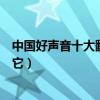中國好聲音十大翻紅歌曲排行榜（民謠南山南上榜第一名是它）