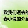 致我們逝去的青春小說（關于致我們逝去的青春小說的介紹）