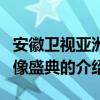 安徽衛視亞洲偶像盛典（關于安徽衛視亞洲偶像盛典的介紹）