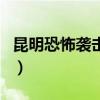 昆明恐怖襲擊案（關于昆明恐怖襲擊案的介紹）