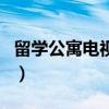 留學公寓電視劇（關于留學公寓電視劇的介紹）