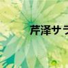 芹澤サラ（關于芹澤サラ的介紹）