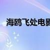 海鷗飛處電影（關于海鷗飛處電影的介紹）