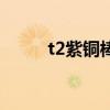 t2紫銅棒（關于t2紫銅棒的介紹）