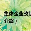 集體企業改制政策（關于集體企業改制政策的介紹）