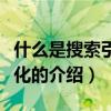 什么是搜索引擎優化（關于什么是搜索引擎優化的介紹）
