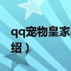 qq寵物皇家戰棋（關于qq寵物皇家戰棋的介紹）