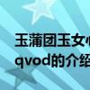 玉蒲團玉女心經qvod（關于玉蒲團玉女心經qvod的介紹）