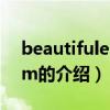 beautifuleminem（關于beautifuleminem的介紹）