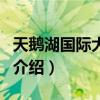 天鵝湖國際大酒店（關于天鵝湖國際大酒店的介紹）