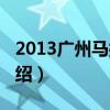 2013廣州馬拉松（關于2013廣州馬拉松的介紹）