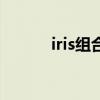 iris組合（關于iris組合的介紹）