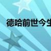 德哈前世今生（關于德哈前世今生的介紹）