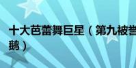 十大芭蕾舞巨星(第九被譽為是世界第一白天鵝)