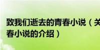 致我們逝去的青春小說(關于致我們逝去的青春小說的介紹)