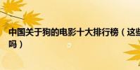 中國關于狗的電影十大排行榜(這些和狗相關的電影都看過嗎)