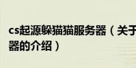 cs起源躲貓貓服務器(關于cs起源躲貓貓服務器的介紹)