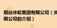 煙臺冰輪集團有限公司(關于煙臺冰輪集團有限公司的介紹)