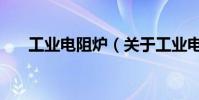 工業電阻爐(關于工業電阻爐的介紹)