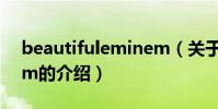 beautifuleminem(關于beautifuleminem的介紹)