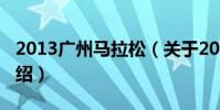 2013廣州馬拉松(關于2013廣州馬拉松的介紹)