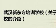 武漢新東方培訓學校(關于武漢新東方培訓學校的介紹)