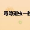 毒隱翅蟲一般出現在什么地方（毒隱翅蟲）
