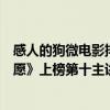 感人的狗微電影排行榜（感人微電影排行榜前十名：《老人愿》上榜第十主講流浪狗）
