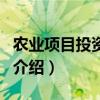 農業項目投資評估（關于農業項目投資評估的介紹）