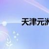 天津元洲（關于天津元洲的介紹）