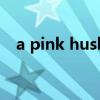 a pink hush（關于a pink hush的介紹）