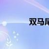 雙馬尾（關于雙馬尾的介紹）
