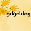 gdgd dogs（關于gdgd dogs的介紹）