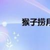 猴子撈月（關于猴子撈月的介紹）