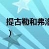 提古勒和弗洛爾（關于提古勒和弗洛爾的介紹）