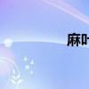 麻葉（關于麻葉的介紹）