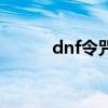 dnf令咒（關于dnf令咒的介紹）