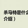 殺馬特是什么意思（關于殺馬特是什么意思的介紹）